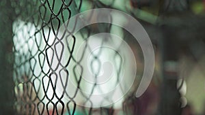 Iron mesh cage MMA. Close-up.