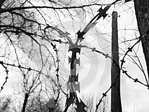 Iron metal sharp dangerous protective barbed wire on the fence with spikes and stakes against the sky