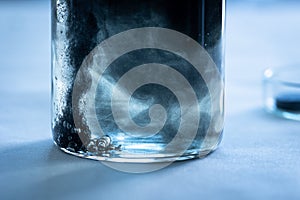 Iron nanoparticles in a lab