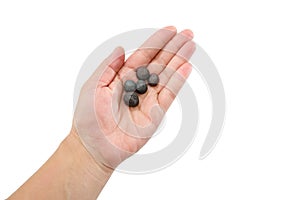 Iron ore pellets in hand on a white background.