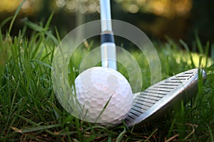 Iron out of the rough 1