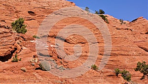 Iron oxide cross bedded sandstone of Canyon de Chelly