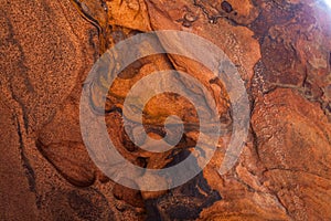 Iron Patterns in Eroded Sandstone Rock at Zion National Park