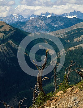 From Iron Peak, Alpine Lakes Wilderness, Cascade Range