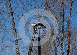 An iron pillar with a lantern covered snow and two white security surveillance cameras in a public park. System control of a