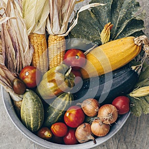 Iron plate with autumn harvest farm vegetables and root crops. Healthy and organic food background. Concept of Healthy Fresh Food