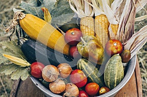 Iron plate with autumn harvest farm vegetables and root crops. Healthy and organic food background. Concept of Healthy Fresh Food