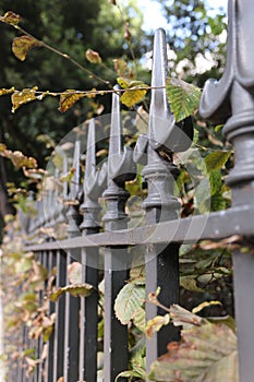 Iron railings bordering a London garden square in Autumn