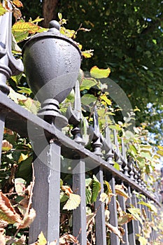 Iron railings bordering a London garden square in Autumn photo