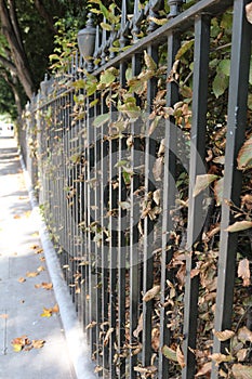 Iron railings bordering a London garden square in Autumn photo