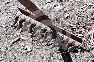 Iron rake on ground at day