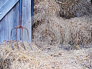 Iron rake, wooden door and rice straw.