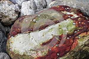 Iron-rich ferrous boulder photo