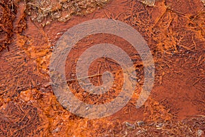 Iron rich mineral water spring in Iceland