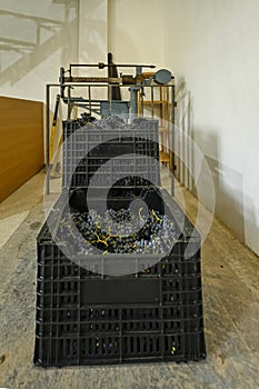 Iron scale of 500 Kg, weighing boxes of grapes at harvest. photo