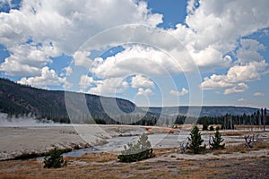 Iron Spring Creek flowing past Cliff Geyser in Black Sand Geyser Basin in Yellowstone National Park in Wyoming USA