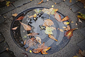 Iron steel sewer cover fellows brows and green. Stone road