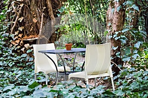 iron table and chairs in the garden, lush foliage trees