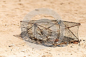 Iron trap traditional crab asia close-up on sand background tropical beach