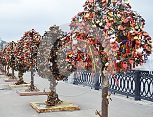 Iron trees with locks