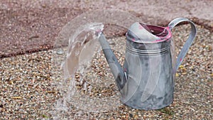 Iron watering can full of water ready for watering plants. Gardening concept of rural garden spring season. Creative