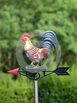 Iron weathercock in garden photo