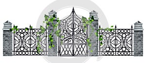 Iron wrought gate, metal old vector fence illustration, stone column, ivy leaf, climber plant isolated on white.