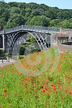 Ironbridge Poppies