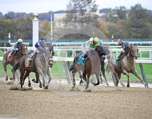 The Iroquios Stakes at Belmont Park