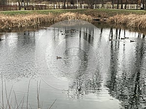 Another new park in Irpin - Kyiv - Ukraine photo