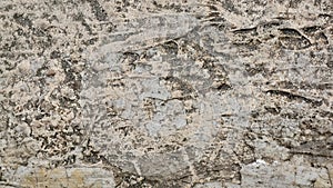 floor cement texture with irregular gray cement background materials for 3D max rendering software