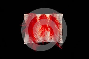 Irregular period concept. Menstrual cycle pad with red feathers on black background. Menorrhagia or heavy menstruation photo