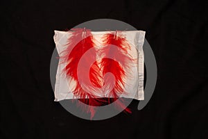 Irregular period concept. Menstrual cycle pad with red feathers on black background. Menorrhagia or heavy menstruation photo