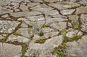 Irregular stones on a green roof