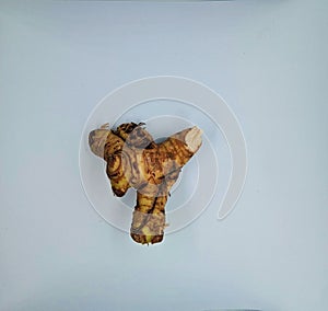 an irregularly shaped galangal that is light brown on white