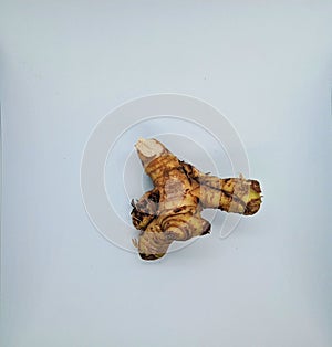 an irregularly shaped galangal that is light brown on white