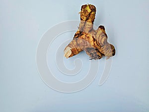 an irregularly shaped galangal that is light brown on white