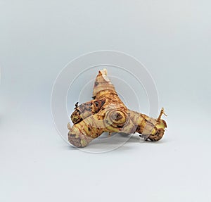 an irregularly shaped galangal that is light brown on white