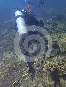 Irresponsibility underwater photographer whom step on the coral reefs during a leisure dive in Tunku Abdul Rahman Park, Sabah. photo