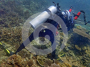 Irresponsibility underwater photographer whom step on the coral reefs during a leisure dive in Tunku Abdul Rahman Park, Sabah. photo