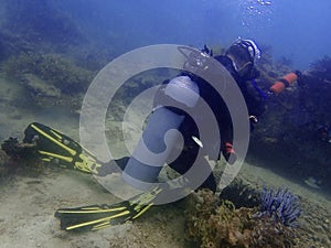 Irresponsibility underwater photographer whom step on the coral reefs during a leisure dive in Tunku Abdul Rahman Park, Kota Kinab photo