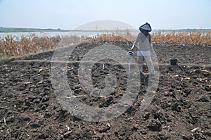 Irrigate the fields