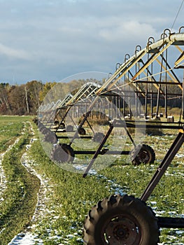 Irrigated Hay field
