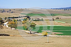 Irrigated Paddocks