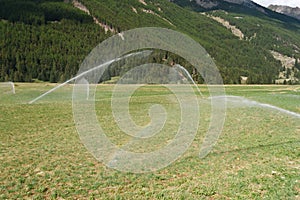 Irrigating field on summer