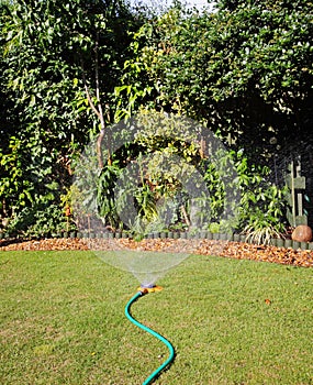 Irrigating a garden border with a Hosepipe photo