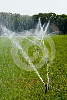 Irrigating grassland in summer