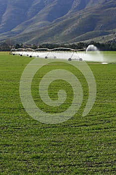 Irrigating the land