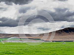 Irrigating lush farm pastures in central Otago NZ
