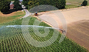 Irrigating maize in the summer